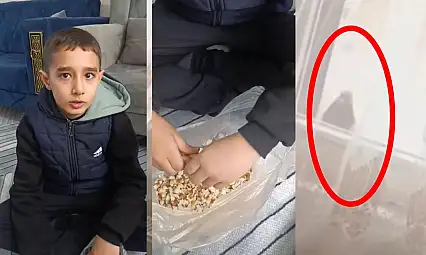 Duyarlı olalım! Siirt'te duyarlı minikler soğuk havada sokak hayvanlarını unutmadı