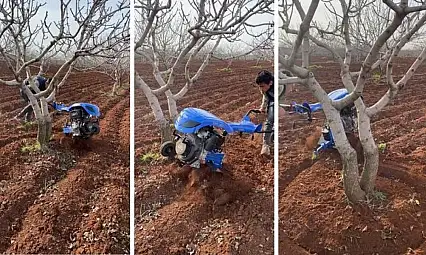 Fıstık üreticilerine Aralık ayında yapılması gerekenler hakkında uyarı yapıldı