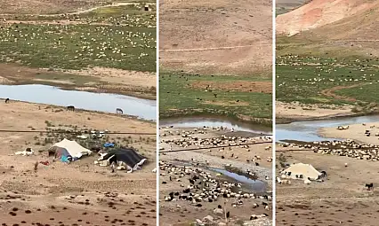 Göçerler Binlerce Koyunla Siirt'e Ulaştı: Başur Çayı Kenarında Konakladılar