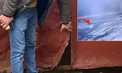 Kars'ta Kurt 200 Koyunu Telef Etti