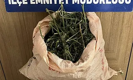 Kurtalan'da polis kovalamacası: Araçta sentetik uyuşturucu ele geçirildi, 3 kişi gözaltına alındı