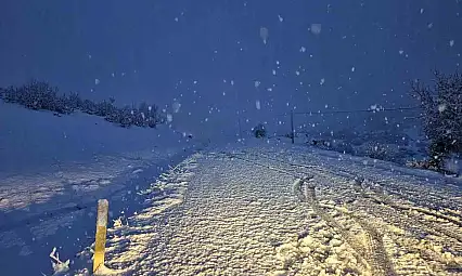 Meteorolojiden Siirt ve Bölge İçin Kuvvetli Kar Yağışı Uyarısı