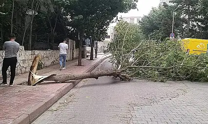 Meteorolojiden Siirt ve Çevre İllere Kuvvetli Rüzgar Uyarısı