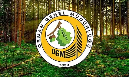 Orman Genel Müdürlüğüne 496 Sözleşmeli Personel Alınacak