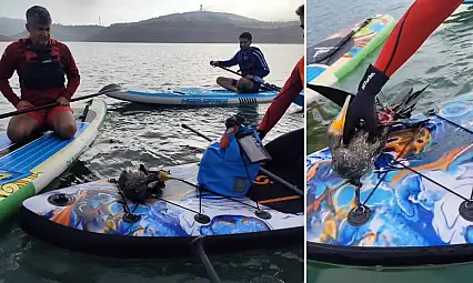 Siirt Botan Vadisi'nde Tüfekle Vurulmuş Yaralı Karabatak Kurtarılamadı! Siirt Doğa Turizmi Kimin Umurunda!