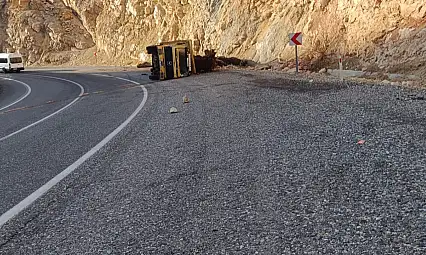 Siirt–Eruh kara yolunda odun yüklü kamyon devrildi: Sürücü yaralandı