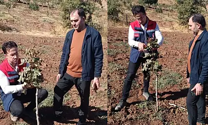 Siirt Fıstığında Verim Artışı İçin Uygulamalı Eğitim