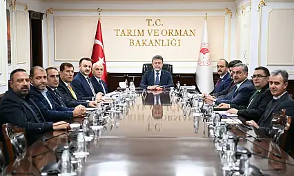 Siirt'in tarımsal geleceği Ankara'da masaya yatırıldı: Asırlık içme suyu problemi, Başur Mesire Alanı, hayvancılık ve kırsal kalkınma projeleri görüşüldü