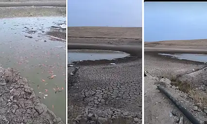 Siirt Kurtalan'da Kuraklık Alarmı: Çayırlı Köyü Gölündeki Balıklar Ölüm Tehlikesiyle Karşı Karşıya