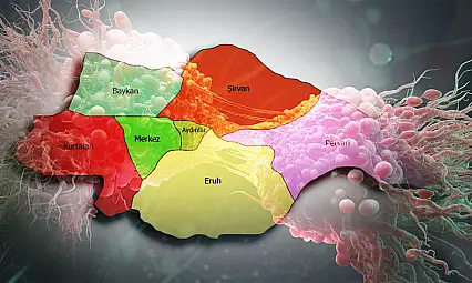 Siirt Listenin En Alt Sırasında! TÜİK 2022 Verileri Açıklandı: Kanser Ölümlerinin En Yüksek ve En Düşük Olduğu İller