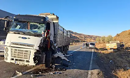 Siirt Şirvan'da İki Kamyon Çarpıştı: 1 Yaralı