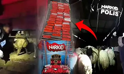 Siirt'te Akıl Almaz Operasyon! Küçükbaş Hayvanların İçinden Kilolarca Uyuşturucu Çıktı