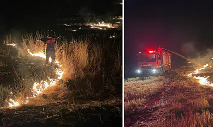 Siirt'te Anız Yangınları Alarm Veriyor: Aktaş Köyü ve Kezer Yerleşkesi Alevlere Teslim