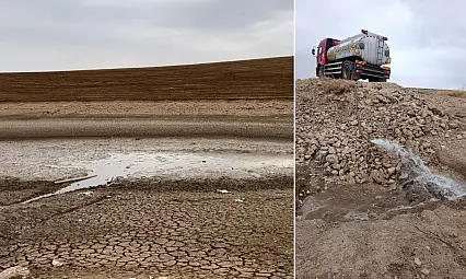 Siirt'te Balıklar Ölümle Burun Buruna: Gölete 80 Ton Su Takviyesi Yapıldı
