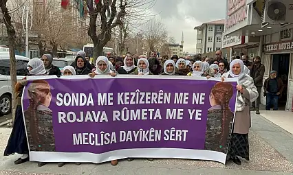 Siirt'te Barış Anneleri'nden Suriye'nin kuzeyine dikkat çeken açıklama