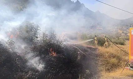 Siirt'te Çıkan Orman Yangını Kontrol Altına Alındı