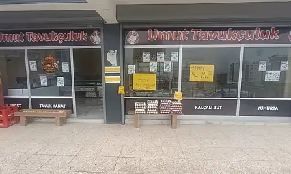 Siirt'te ''Umut Tavukçuluk'' Hizmete Açıldı