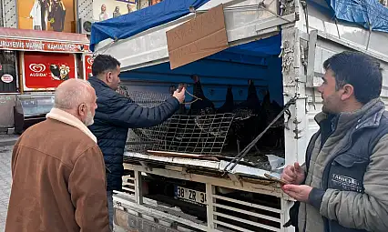 Siirt'te yılbaşı öncesi hindilere talep arttı fiyatları belli oldu!