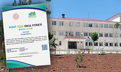 Siirt Tillo İkizbağlar İlk-Ortaokulu ''Mavi Yeşil Okul'' Etiketi Almaya Hak Kazandı