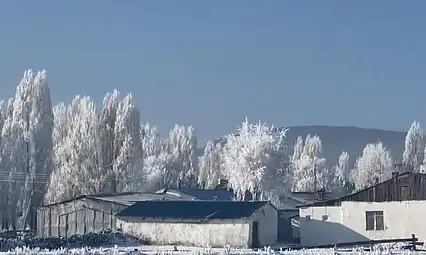Türkiye buz kesti: En soğuk noktası Bitlis'te ölçüldü