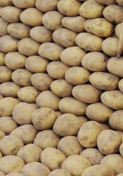 Bismil'de 400 Tonluk Patates Krizi: Eski Şirvan Kaymakamı Hasar'ın Görev Yeri Değişti