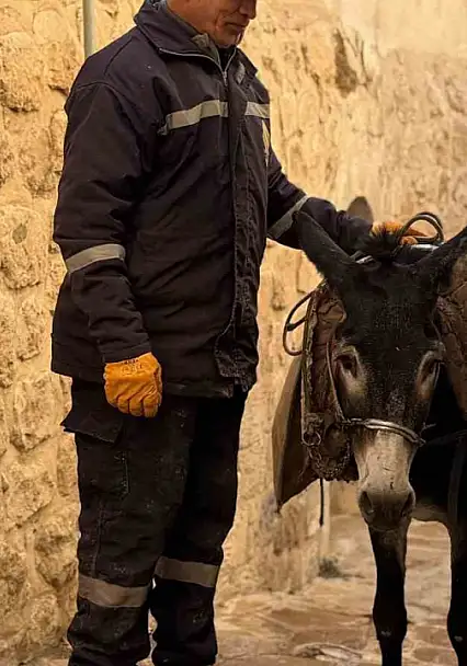 Mardin'de 'kadrolu' eşekleri emekli edecek proje hayata geçiyor