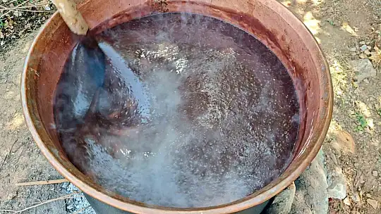 Batman Mereto Dağı'nda Siyah Üzüm Hasadı: Günlüce Köyünde Cevizli Sucuk ve Pestil Geleneği