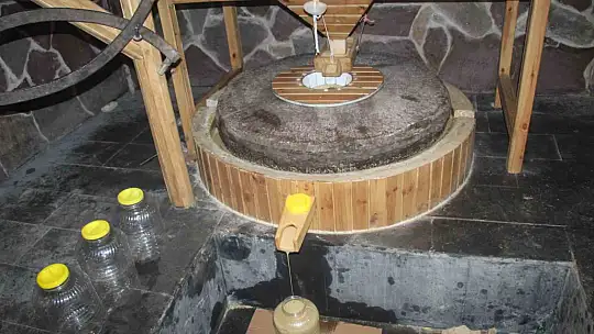 Elektrik yok, makine yok: Şırnak'ta asırlık değirmenden dünyaya coğrafi işaretli tahin