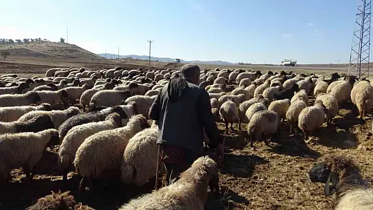 Gercüş'te göçerlerin zorlu yolculuğu
