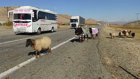Gercüş'te göçerlerin zorlu yolculuğu