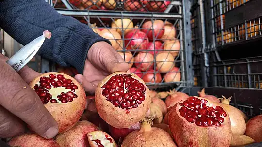 Siirt'te kuraklık Zivzik narında verimi yarı yarıya düşürdü