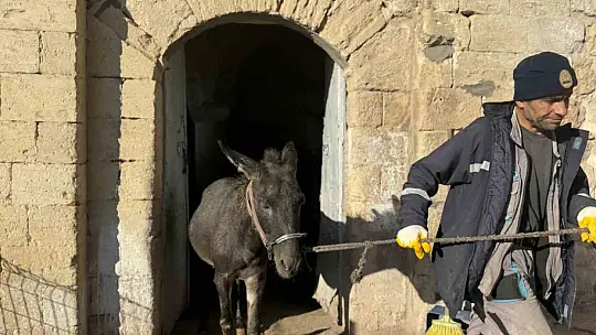 Mardin'de 'kadrolu' eşekleri emekli edecek proje hayata geçiyor