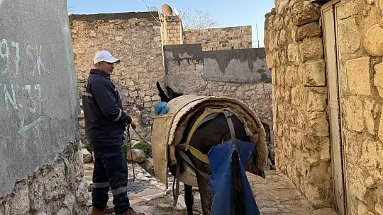 Mardin'de 'kadrolu' eşekleri emekli edecek proje hayata geçiyor
