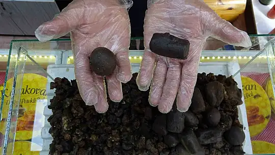 Siirt'te Akciğer Sağlığı Alarmda: Propolis Kullanımı Patladı