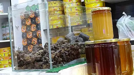 Siirt'te Akciğer Sağlığı Alarmda: Propolis Kullanımı Patladı
