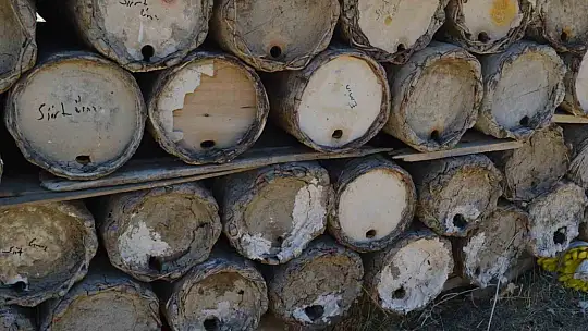Siirt'in Altın Lezzeti Pervari Balı: 2004'ten Beri Coğrafi İşaretli, Artık Daha Güçlü! Terörsüz Dağlarda Rekor Hasat!