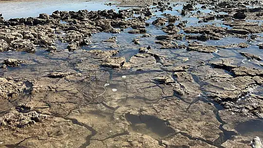 Siirt'te balık teleflerine karşı gölete 150 tonluk su takviyesi