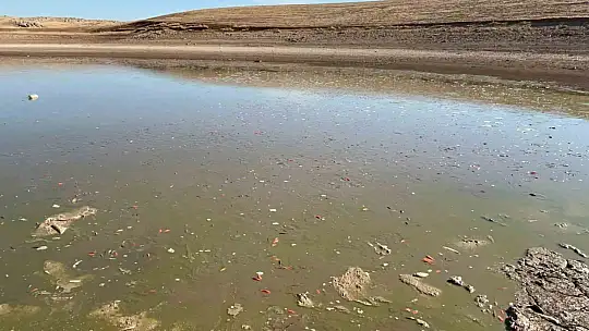 Siirt'te balık teleflerine karşı gölete 150 tonluk su takviyesi