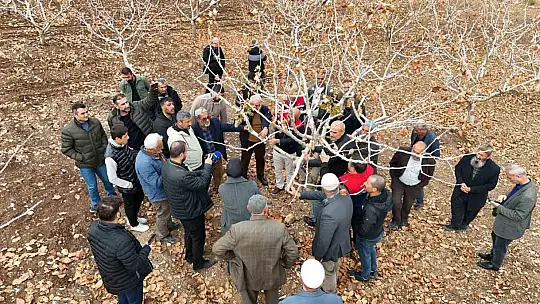 Siirt'te fıstık üreticilerine teorik ve pratik 'budama' ile 'gübreleme' eğitimi