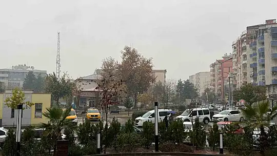 Siirt'te sis ve sağanak yağış etkili oldu