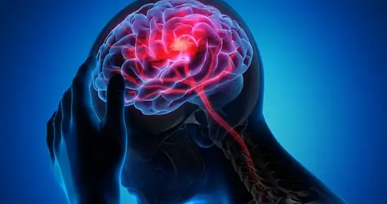 Uzmanlar uyardı: Beyni yorduğu öne sürülen 6 gıda