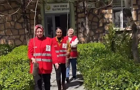 Siirt'te Eruh Kızılay Gönüllüleri Orman Haftası'nda Kütüphane Bahçesine Fidan Dikti