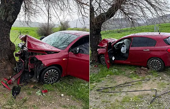 Siirt-Baykan Yolunda Kaza: Otomobil Ağaca Çarparak Durabildi