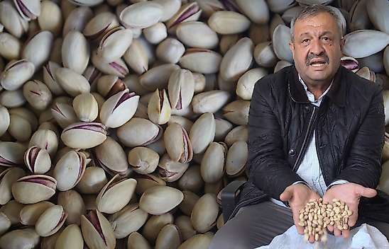 Siirt fıstığında ithal ve fiyat oyunu: '600 liraya alıp 1500 liraya satıyorlar'