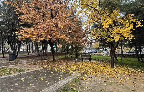 Siirt'in Göbeğinde Renk Cümbüşü! Soğuk havada sıcak bir manzara