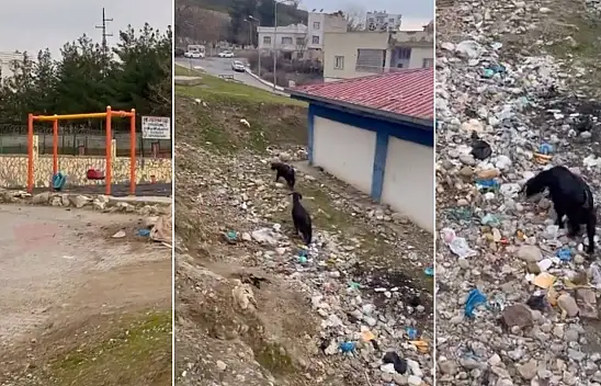 Siirt'te Atılan Çöpler Çocuk Parkını Kullanılamaz Hale Getirdi