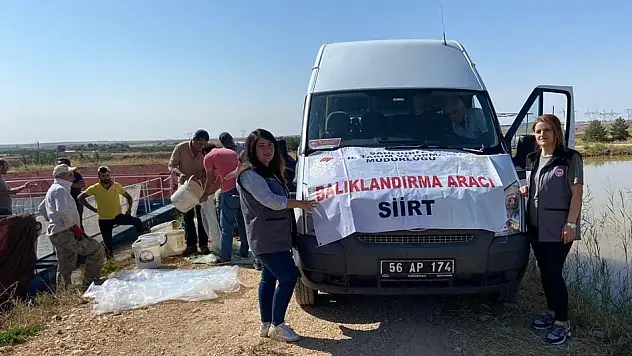 1 Milyon 300 Bin Yavru Şabut Balığı Siirt Baraj Göllerine Bırakıldı