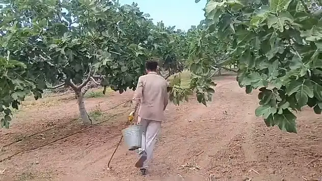 1400 TL İçin Binlerce Kilometre Uzakta: Siirt'te İşsizlik Dram