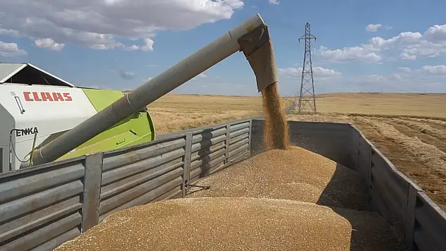 2025 TMO Hububat Alım Fiyatları Açıklandı