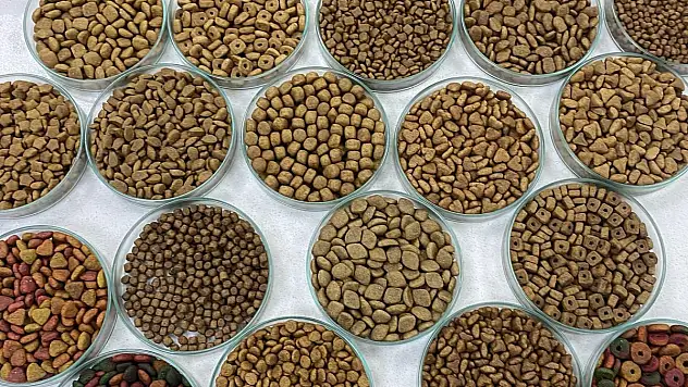 91 ülkedeki patili dostların maması Türkiye'den